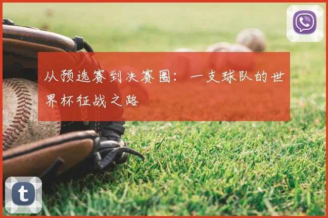 从预选赛到决赛圈：一支球队的世界杯征战之路