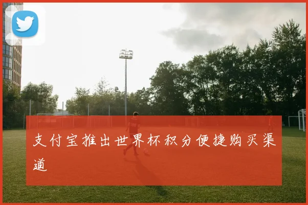 支付宝推出世界杯积分便捷购买渠道