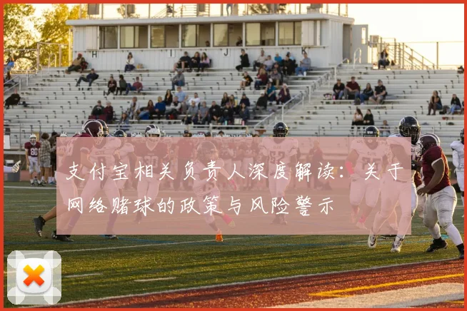 支付宝相关负责人深度解读：关于网络赌球的政策与风险警示