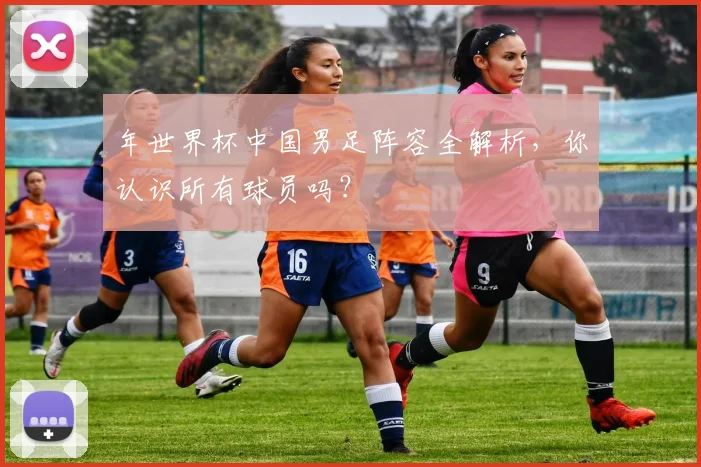 年世界杯中国男足阵容全解析,你认识所有球员吗?